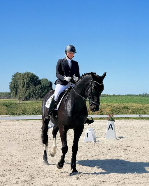 Erlebnishof Helenenau - Dressurturnier